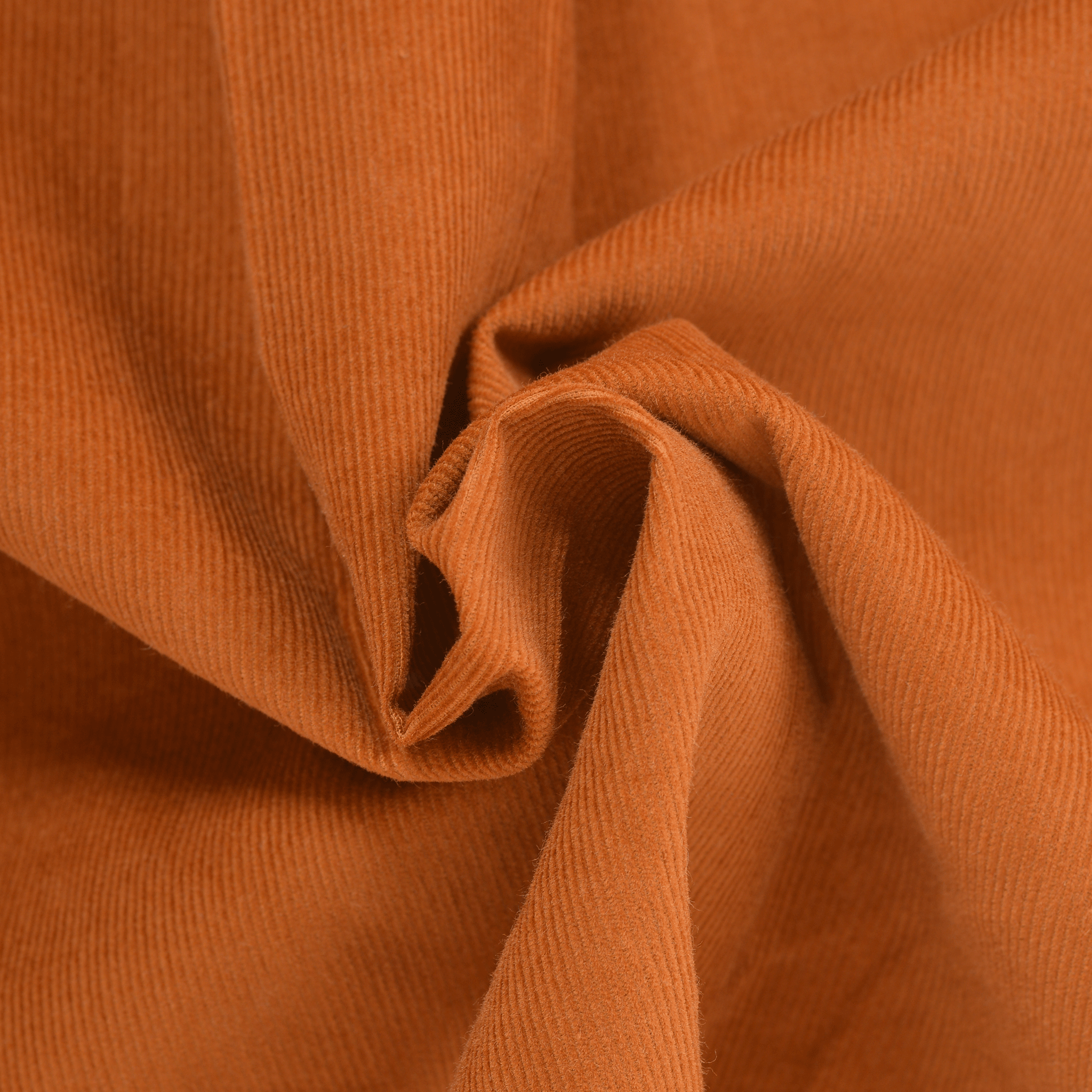 長袖ボタンダウンシャツ 24224050