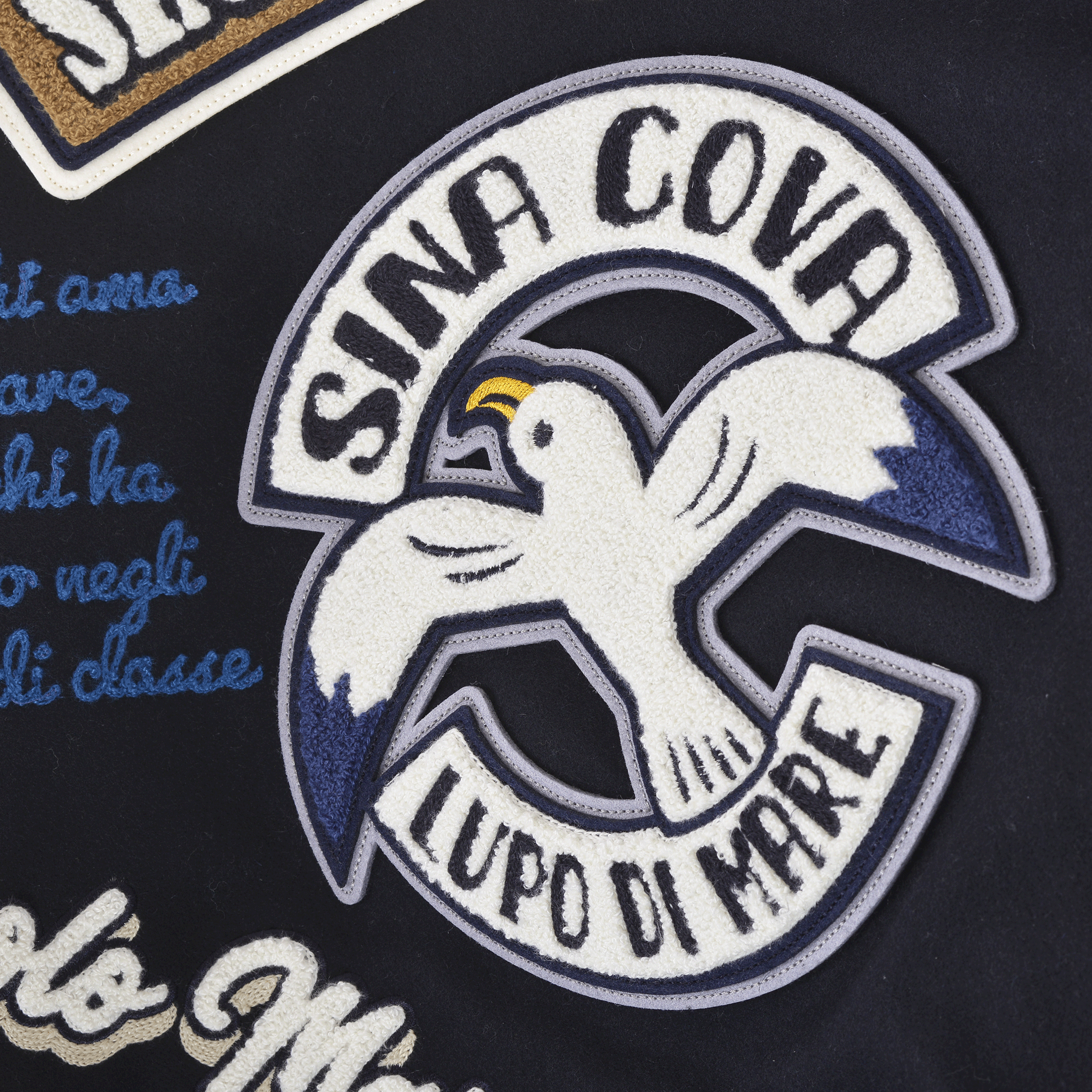 スタジアムジャンパー(希少アイテム) 24223930