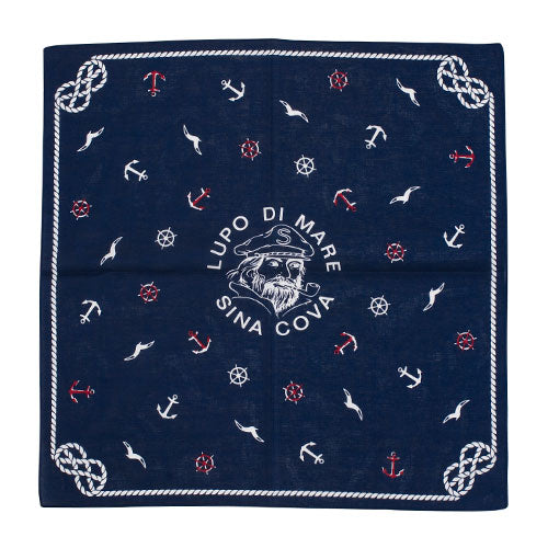 Bandana 17176210